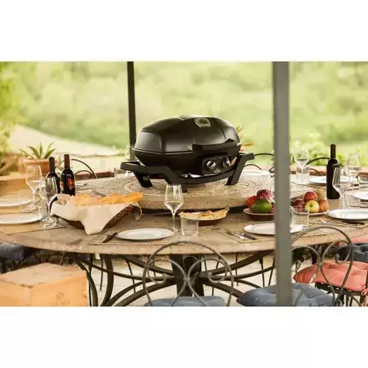 Barbacoa de gas portátil Napoleon TravelQ™ PRO285