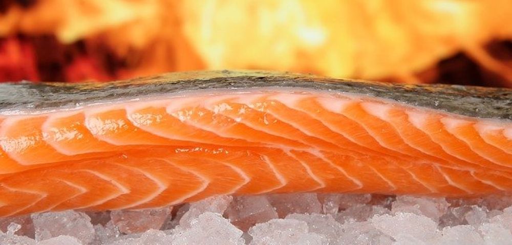 salmon en barbacoa