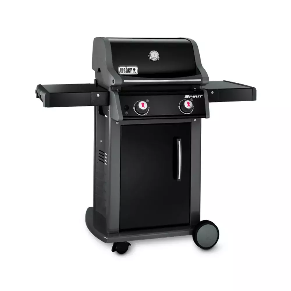 Weber e210 2024 spirit original