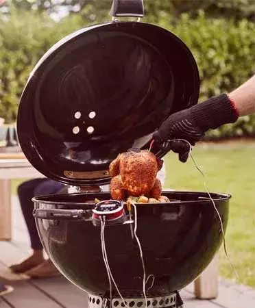 Cuál es la mejor barbacoa de carbón?  Barbacoas Weber - Gas - Carbón-  Eléctrica - Pellets